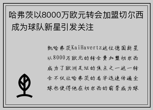 哈弗茨以8000万欧元转会加盟切尔西 成为球队新星引发关注